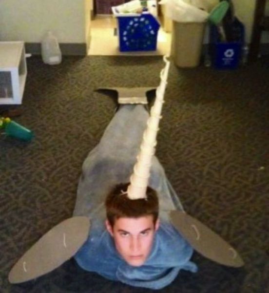 morning picdump 52 pics 22.html - 52 HD Photos | Premium Gallery 2012