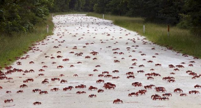 morning picdump 54 pics 6.html - 54 HD Photos | Premium Gallery 2012