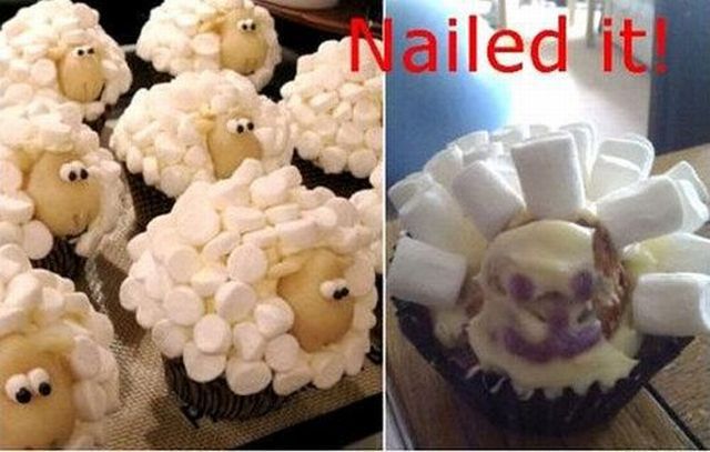 daily picdump 109 pics 3.html - 109 HD Photos | Premium Gallery 2012