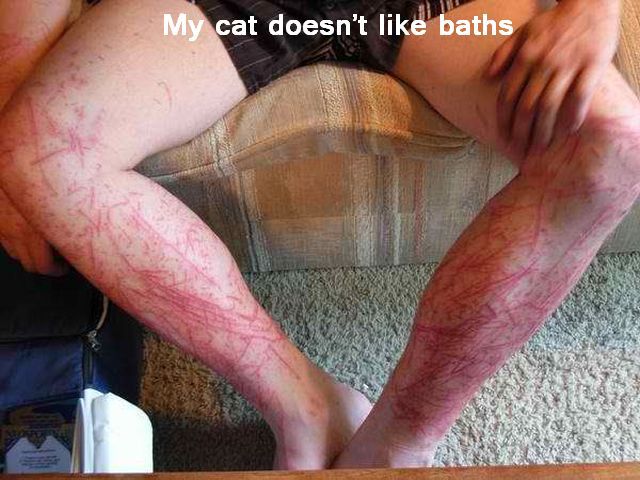 daily picdump 109 pics 3.html - 109 HD Photos | Premium Gallery 2012