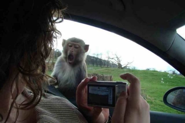 daily picdump 109 pics 3.html - 109 HD Photos | Premium Gallery 2012