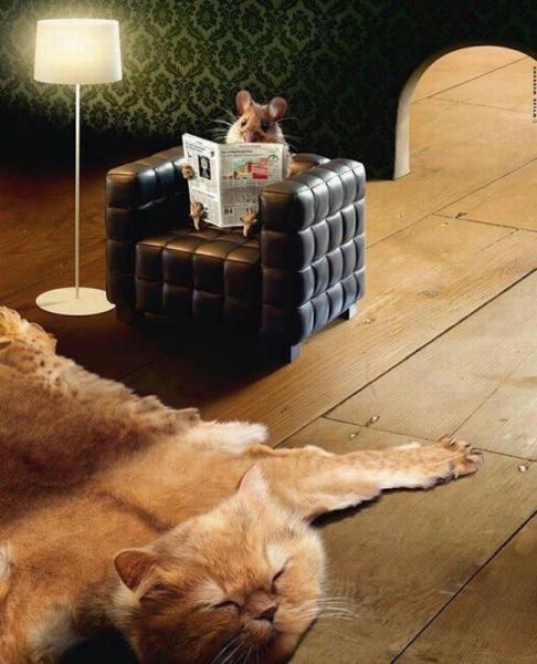 daily picdump 109 pics 3.html - 109 HD Photos | Premium Gallery 2012