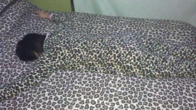 morning picdump 59 pics 5.html - 59 HD Photos | Premium Gallery 2012