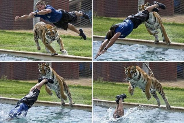 morning picdump 59 pics 5.html - 59 HD Photos | Premium Gallery 2012