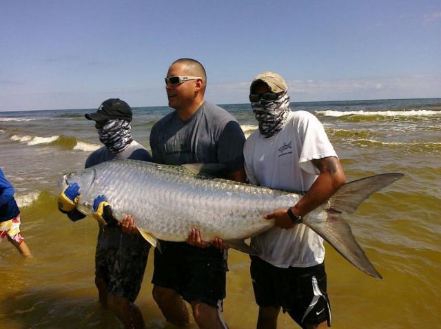 morning picdump 59 pics 5.html - 59 HD Photos | Premium Gallery 2012