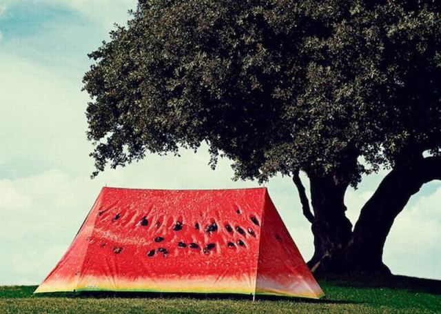 morning picdump 59 pics 5.html - 59 HD Photos | Premium Gallery 2012