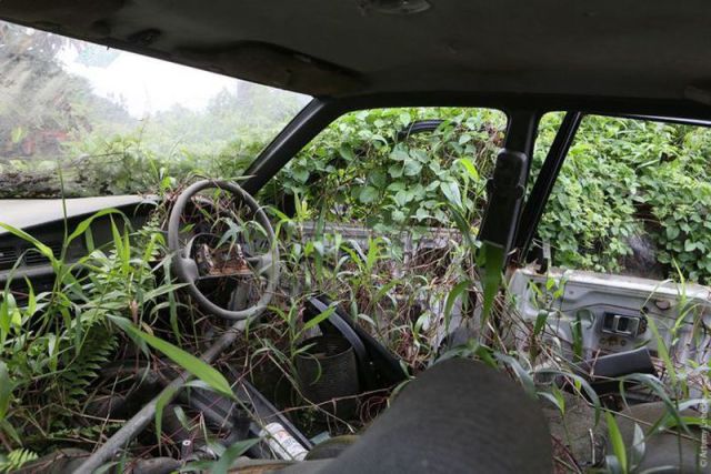 morning picdump 59 pics 5.html - 59 HD Photos | Premium Gallery 2012