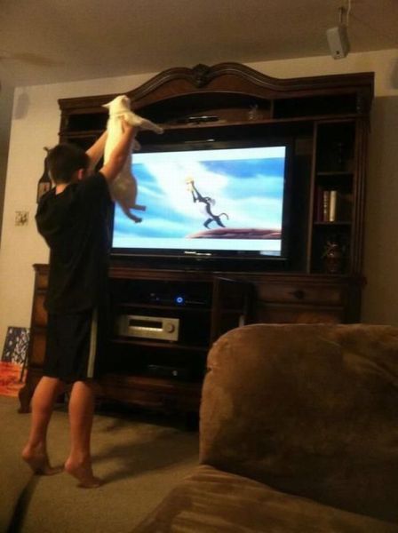 morning picdump 59 pics 5.html - 59 HD Photos | Premium Gallery 2012