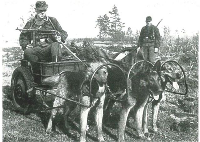 morning picdump 59 pics 5.html - 59 HD Photos | Premium Gallery 2012