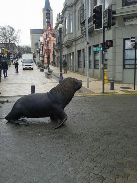 morning picdump 59 pics 5.html - 59 HD Photos | Premium Gallery 2012