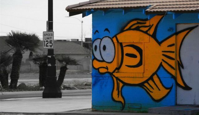 morning picdump 59 pics 5.html - 59 HD Photos | Premium Gallery 2012