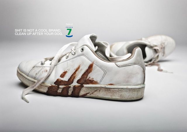 morning picdump 50 pics 20.html - 50 HD Photos | Premium Gallery 2012