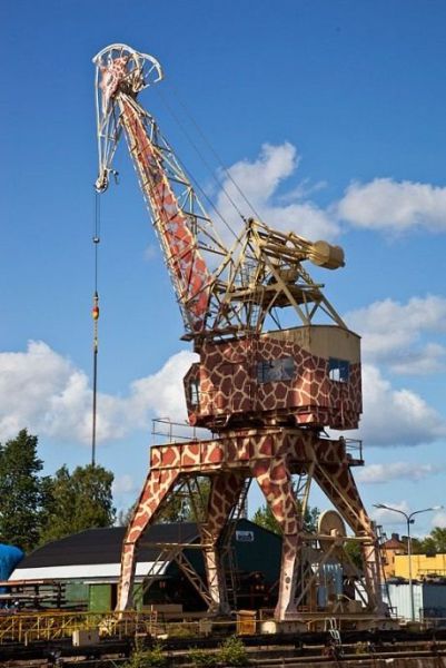 morning picdump 55 pics 32.html - 55 HD Photos | Premium Gallery 2012