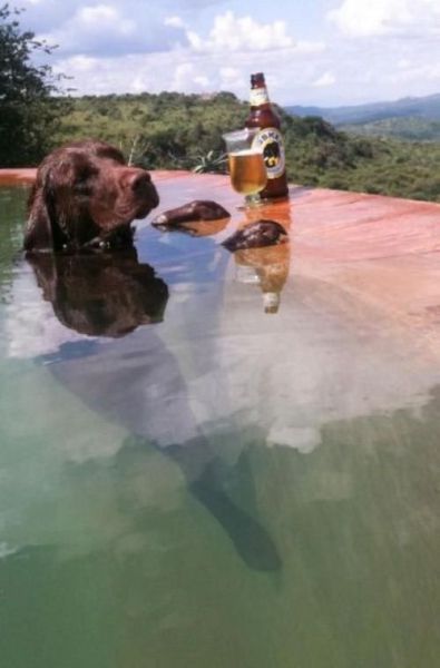 morning picdump 55 pics 32.html - 55 HD Photos | Premium Gallery 2012