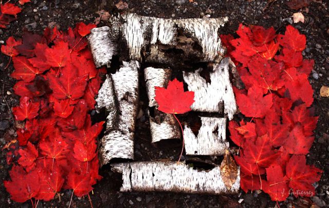 morning picdump 55 pics 32.html - 55 HD Photos | Premium Gallery 2012