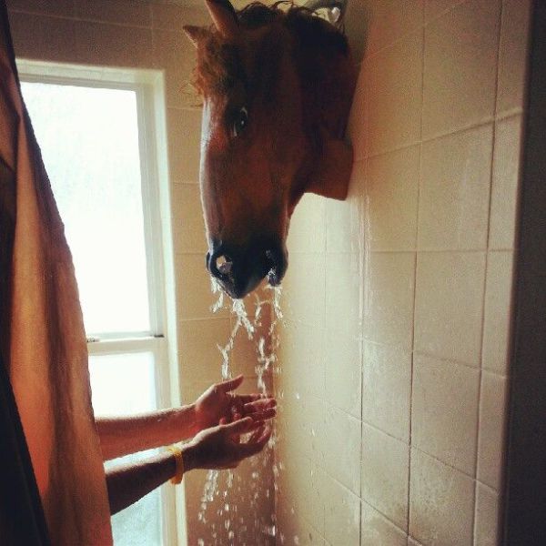 morning picdump 55 pics 32.html - 55 HD Photos | Premium Gallery 2012