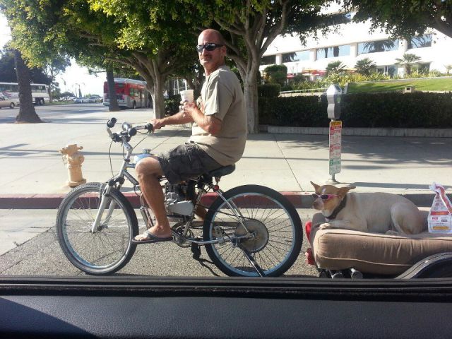 morning picdump 51 pics 3.html - 51 HD Photos | Premium Gallery 2012