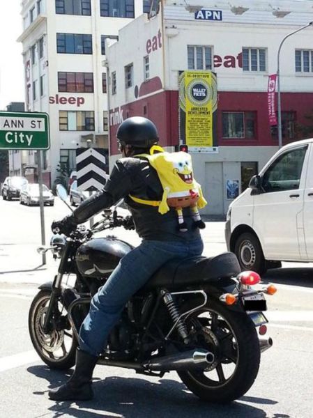 morning picdump 56 pics 2.html - 56 HD Photos | Premium Gallery 2012