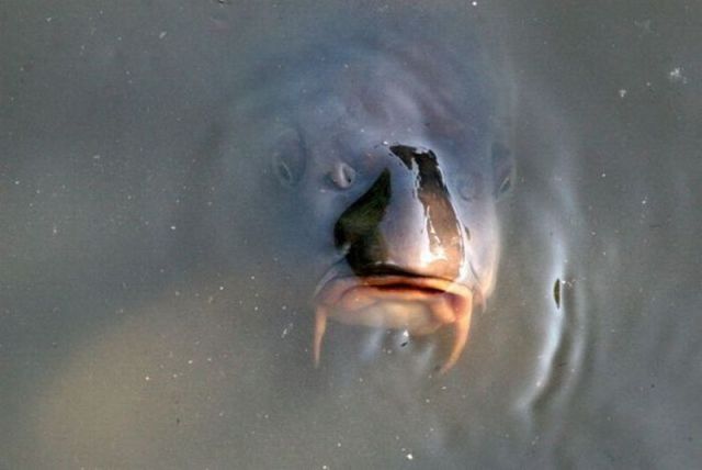 morning picdump 56 pics 2.html - 56 HD Photos | Premium Gallery 2012