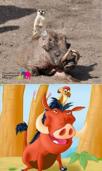 morning picdump 56 pics 2.html - 56 HD Photos | Premium Gallery 2012