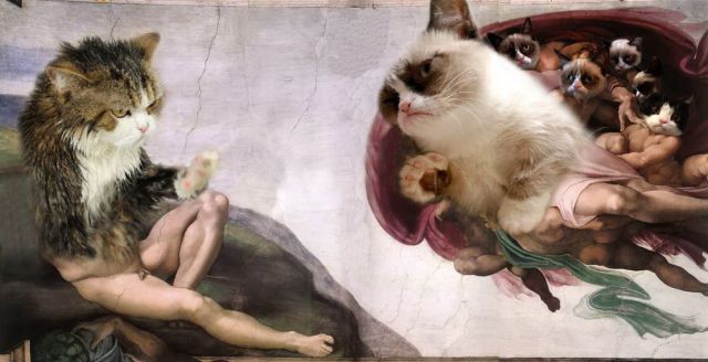 morning picdump 56 pics 2.html - 56 HD Photos | Premium Gallery 2012