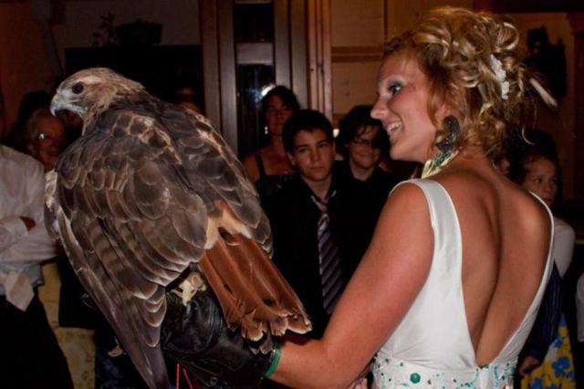 morning picdump 56 pics 2.html - 56 HD Photos | Premium Gallery 2012