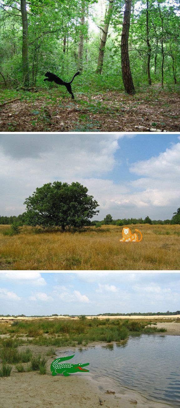 morning picdump 56 pics 2.html - 56 HD Photos | Premium Gallery 2012