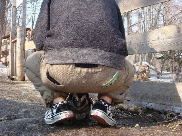 morning picdump 52 pics 33.html - 52 HD Photos | Premium Gallery 2012