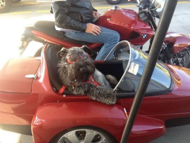 morning picdump 52 pics 33.html - 52 HD Photos | Premium Gallery 2012