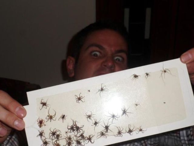 morning picdump 52 pics 33.html - 52 HD Photos | Premium Gallery 2012