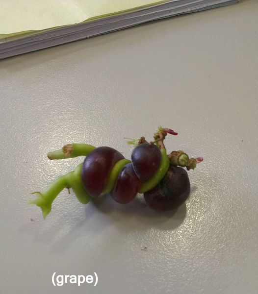 morning picdump 52 pics 33.html - 52 HD Photos | Premium Gallery 2012