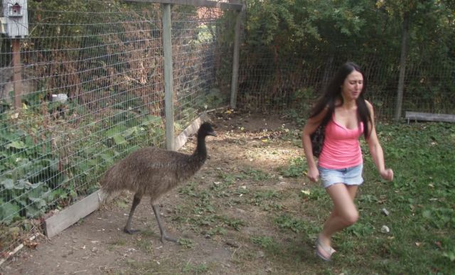 morning picdump 53 pics 9.html - 53 HD Photos | Premium Gallery 2012