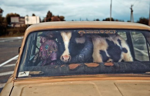 morning picdump 53 pics 9.html - 53 HD Photos | Premium Gallery 2012