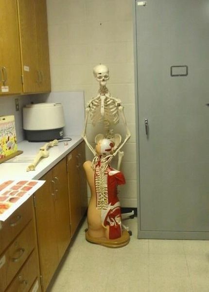 morning picdump 53 pics 9.html - 53 HD Photos | Premium Gallery 2012