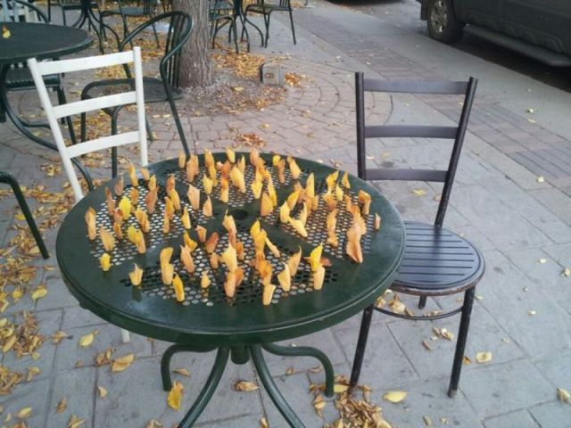 morning picdump 53 pics 9.html - 53 HD Photos | Premium Gallery 2012