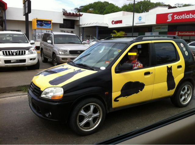 morning picdump 53 pics 9.html - 53 HD Photos | Premium Gallery 2012