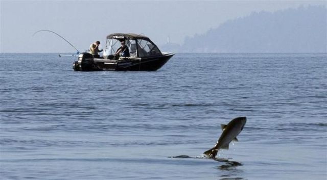 morning picdump 53 pics 9.html - 53 HD Photos | Premium Gallery 2012