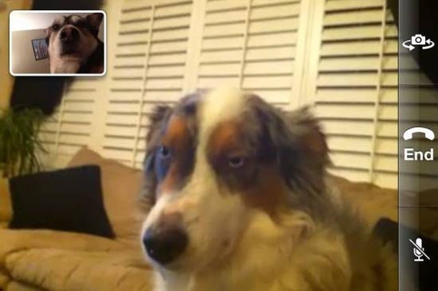 morning picdump 53 pics 9.html - 53 HD Photos | Premium Gallery 2012