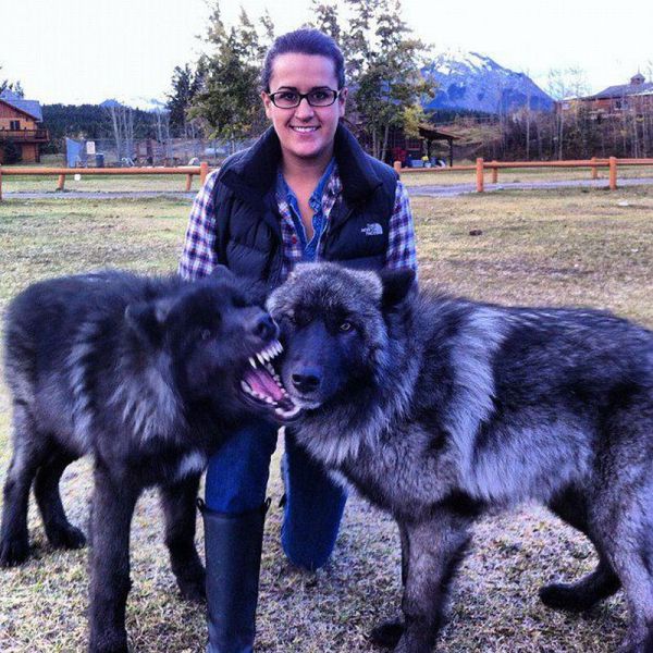 Daily Picdump [WEEKEND EDITION]