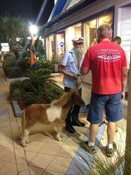 Daily Picdump [WEEKEND EDITION]