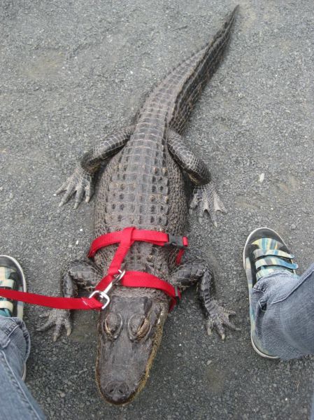 Daily Picdump [WEEKEND EDITION]