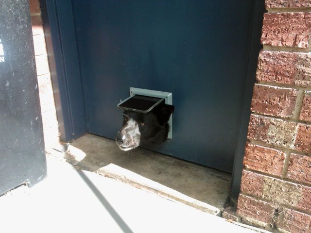 daily picdump weekend edition 91 pics 33.html - 91 HD Photos | Premium Gallery 2012