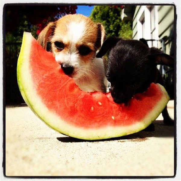 daily picdump weekend edition 91 pics 33.html - 91 HD Photos | Premium Gallery 2012