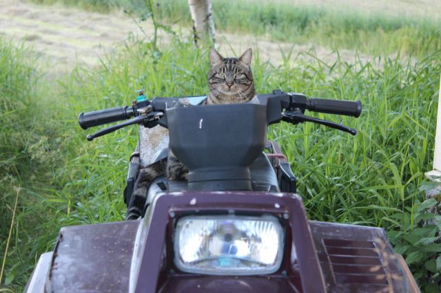 daily picdump weekend edition 91 pics 33.html - 91 HD Photos | Premium Gallery 2012