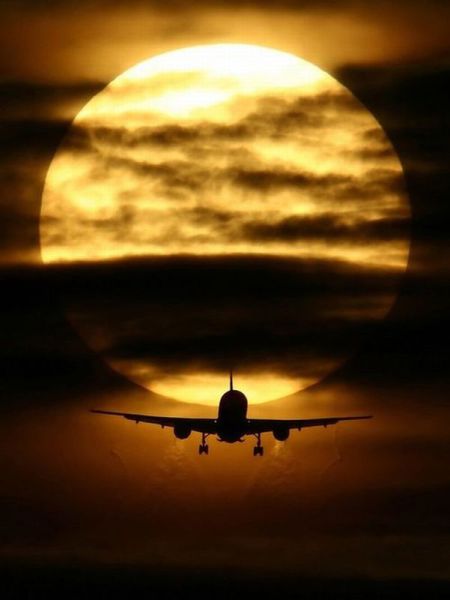 daily picdump weekend edition 91 pics 33.html - 91 HD Photos | Premium Gallery 2012