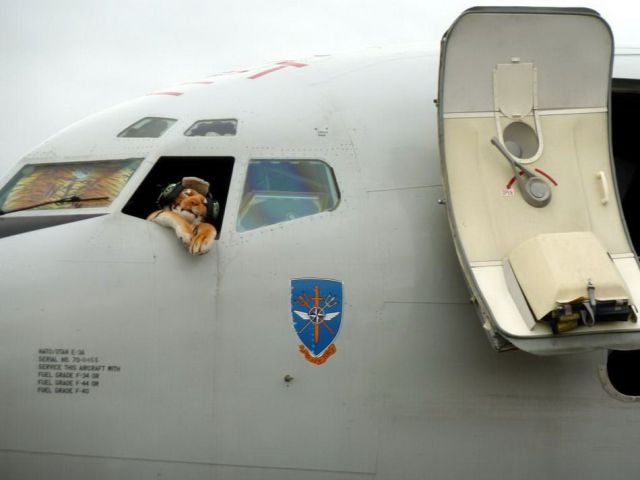 daily picdump weekend edition 91 pics 33.html - 91 HD Photos | Premium Gallery 2012