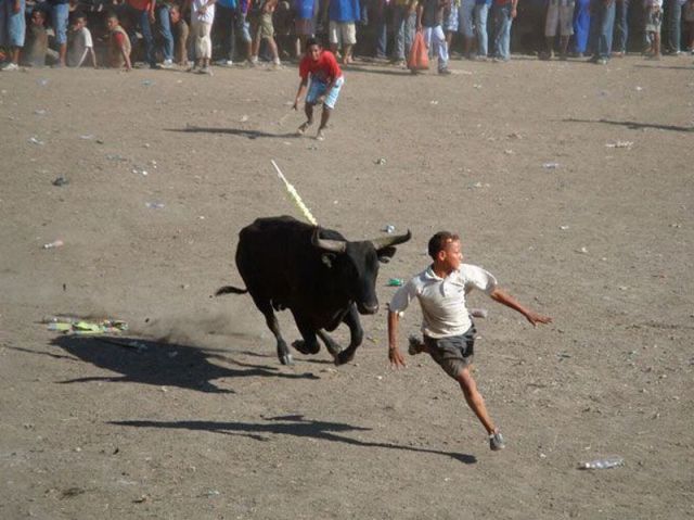 daily picdump weekend edition 91 pics 33.html - 91 HD Photos | Premium Gallery 2012