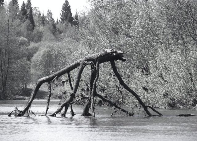 daily picdump weekend edition 91 pics 33.html - 91 HD Photos | Premium Gallery 2012