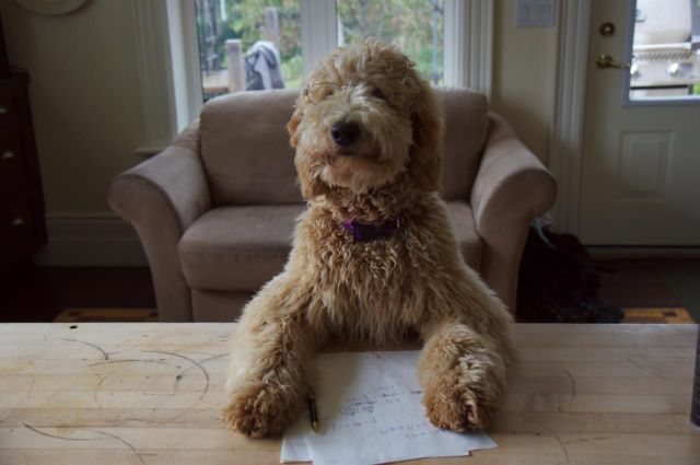 daily picdump weekend edition 91 pics 33.html - 91 HD Photos | Premium Gallery 2012