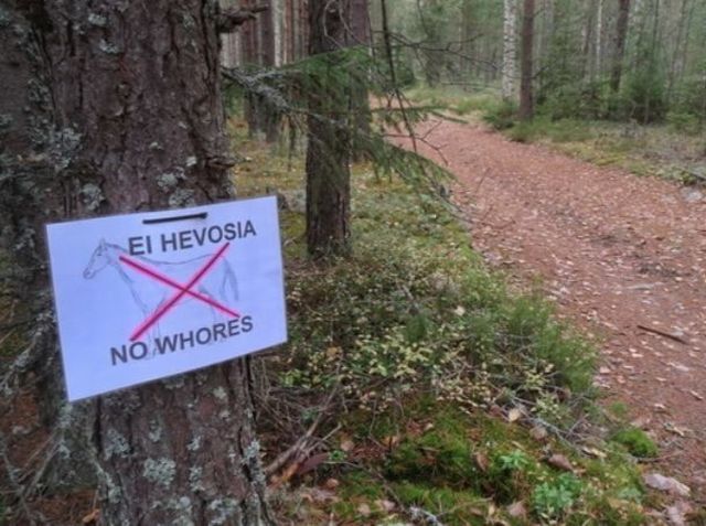 morning picdump 50 pics 28.html - 50 HD Photos | Premium Gallery 2012